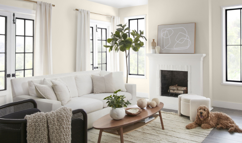 living room painting ideas