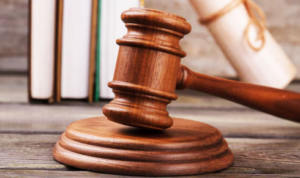 How Immigration Detention Cases Are Evaluated by Federal Courts