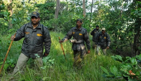 van vibhag apply online